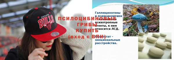 СК Балахна
