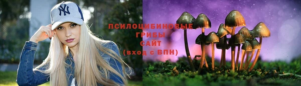 СК Балахна
