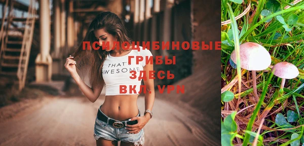 гашишное масло Аркадак